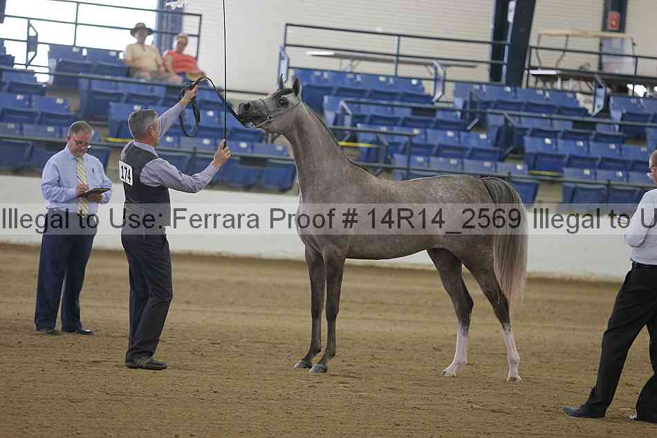 Proof 14r14_2569