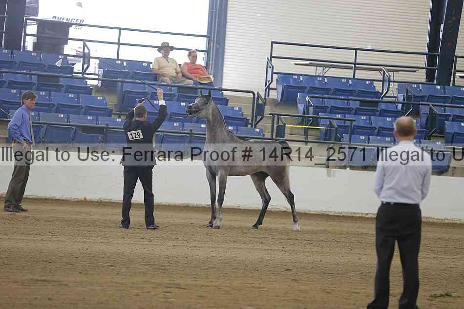 Proof 14r14_2571