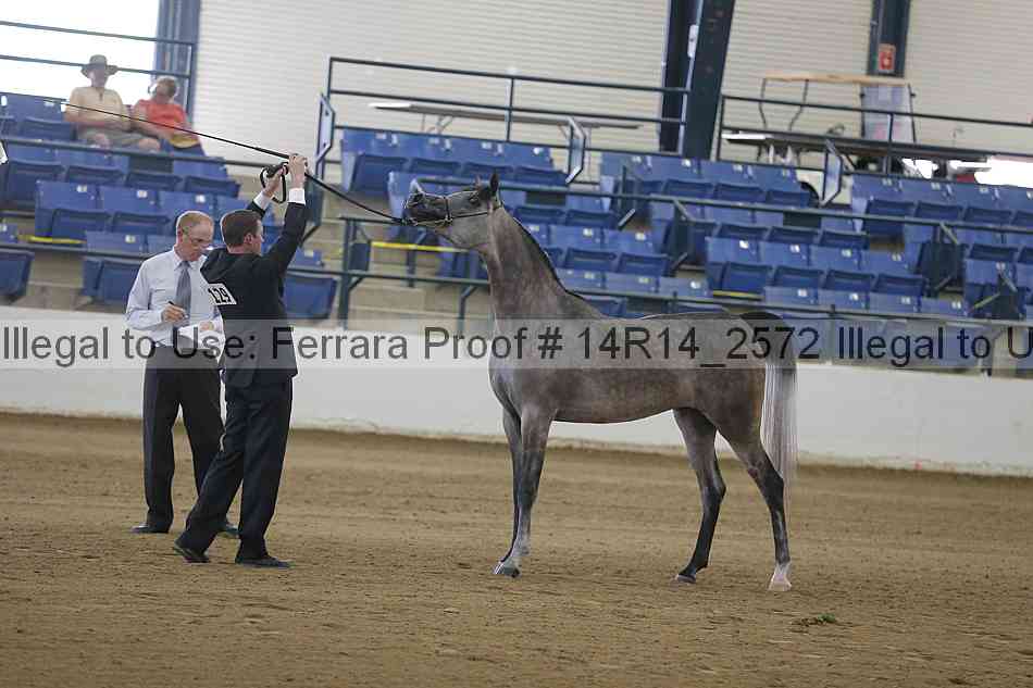 Proof 14r14_2572