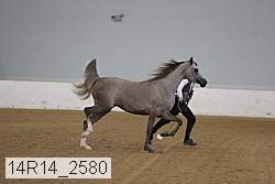 14r14_2580 proof