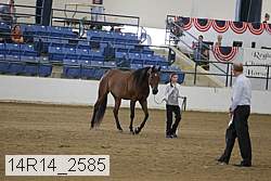 14r14_2585 proof