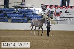 14r14_2591 proof