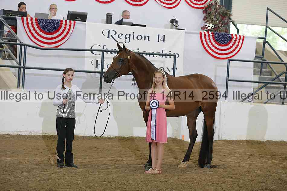 Proof 14r14_2594
