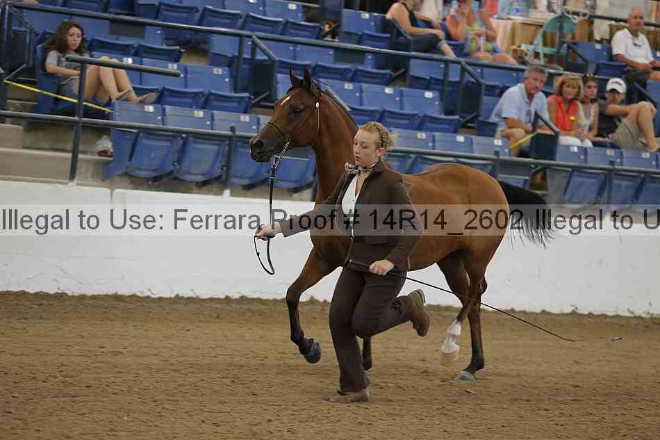 Proof 14r14_2602