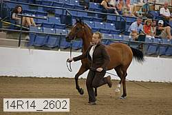 14r14_2602 proof