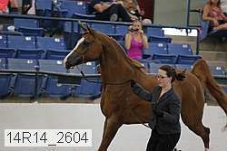 14r14_2604 proof