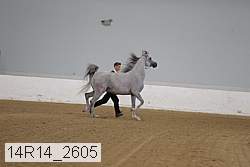 14r14_2605 proof