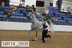 14r14_2606 proof