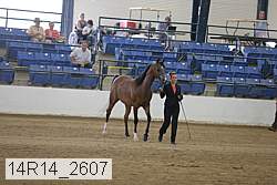 14r14_2607 proof