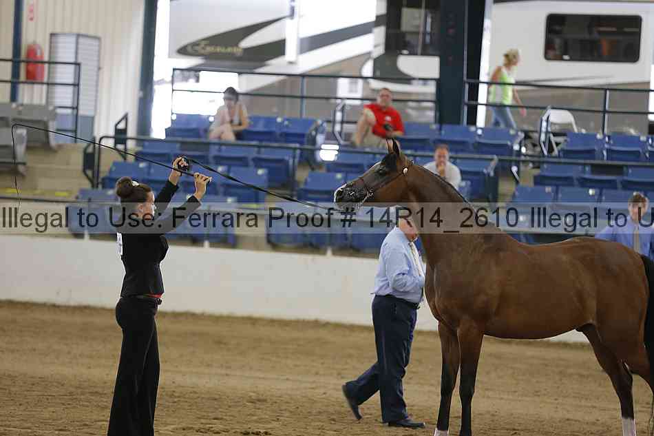 Proof 14r14_2610