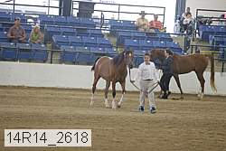 14r14_2618 proof