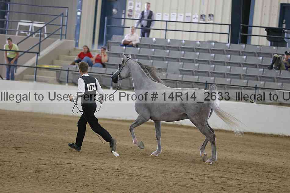 Proof 14r14_2633