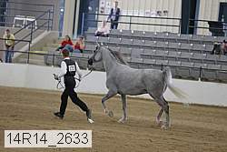14r14_2633 proof