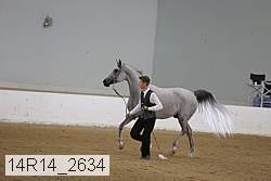 14r14_2634 proof