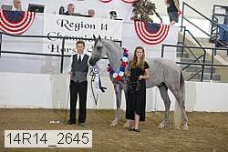 14r14_2645 proof