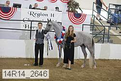 14r14_2646 proof