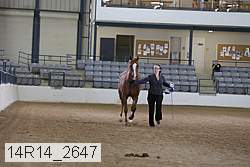 14r14_2647 proof