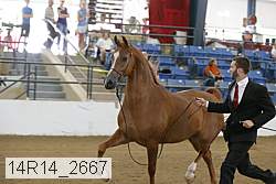 14r14_2667 proof