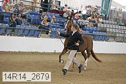 14r14_2679 proof