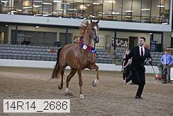 14r14_2686 proof