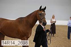 14r14_2698 proof