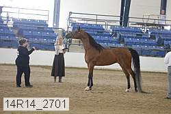 14r14_2701 proof