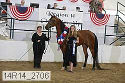 14r14_2706 proof