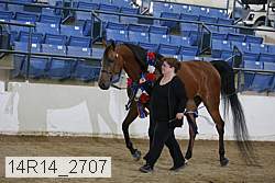 14r14_2707 proof