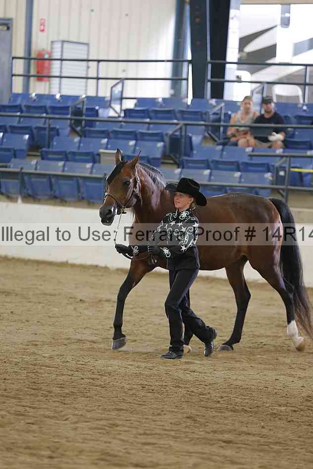 Proof 14r14_2736