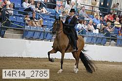14r14_2785 proof