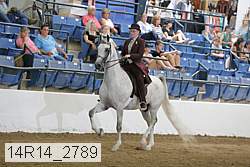 14r14_2789 proof