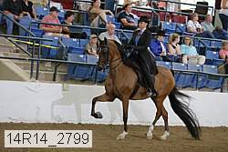 14r14_2799 proof