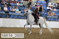 14r14_2800 proof