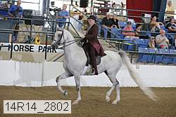 14r14_2802 proof