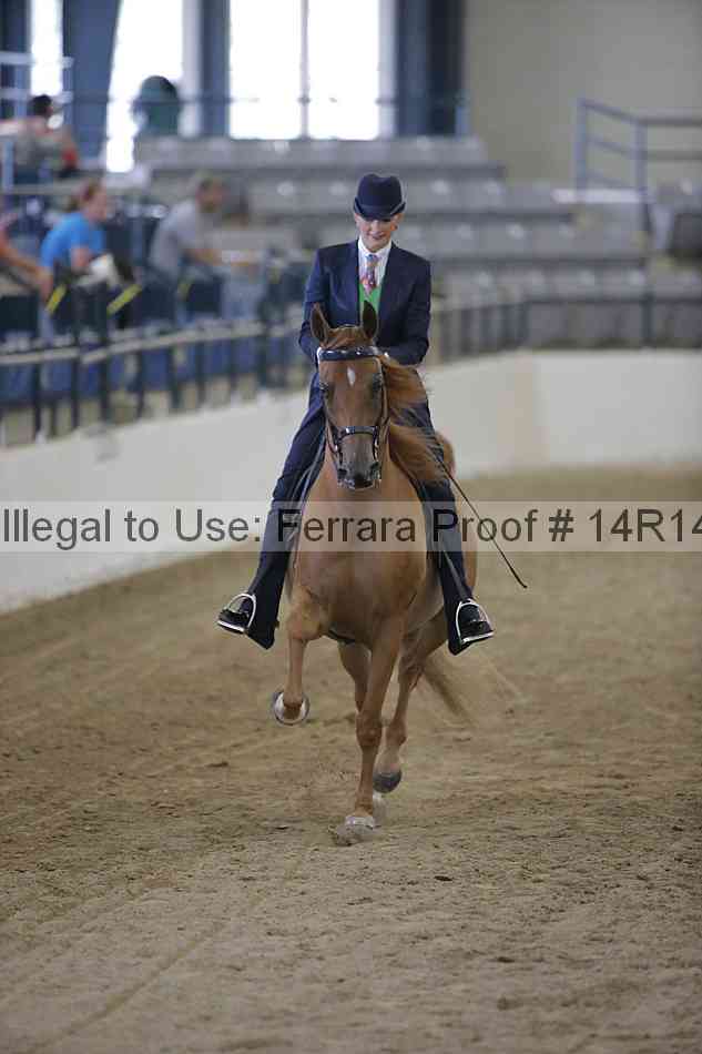 Proof 14r14_2803