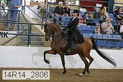14r14_2806 proof