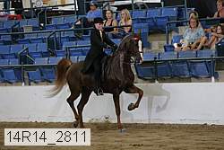 14r14_2811 proof