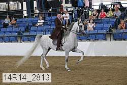 14r14_2813 proof