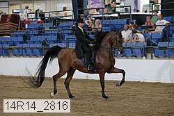 14r14_2816 proof