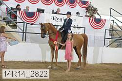 14r14_2822 proof