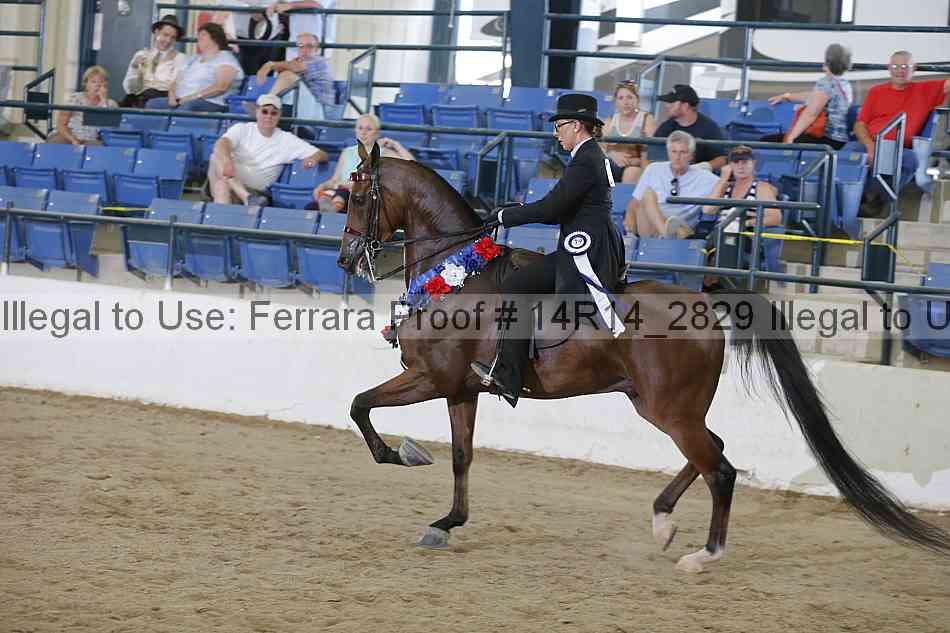 Proof 14r14_2829
