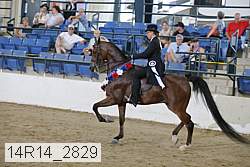 14r14_2829 proof