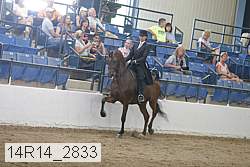 14r14_2833 proof