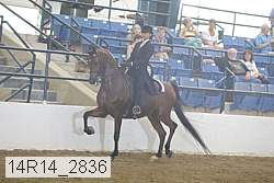 14r14_2836 proof