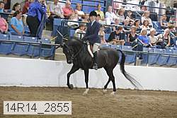 14r14_2855 proof