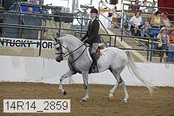 14r14_2859 proof