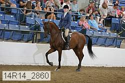 14r14_2860 proof