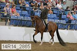 14r14_2865 proof