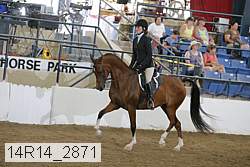 14r14_2871 proof
