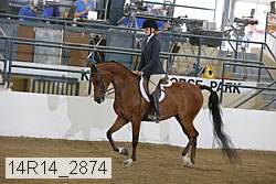 14r14_2874 proof